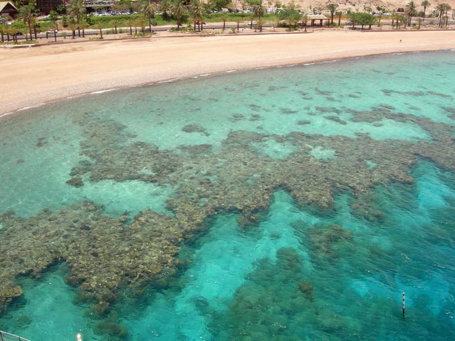 Coral Beach Nature Reserve