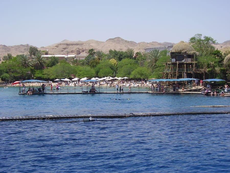 Dolphin Reef