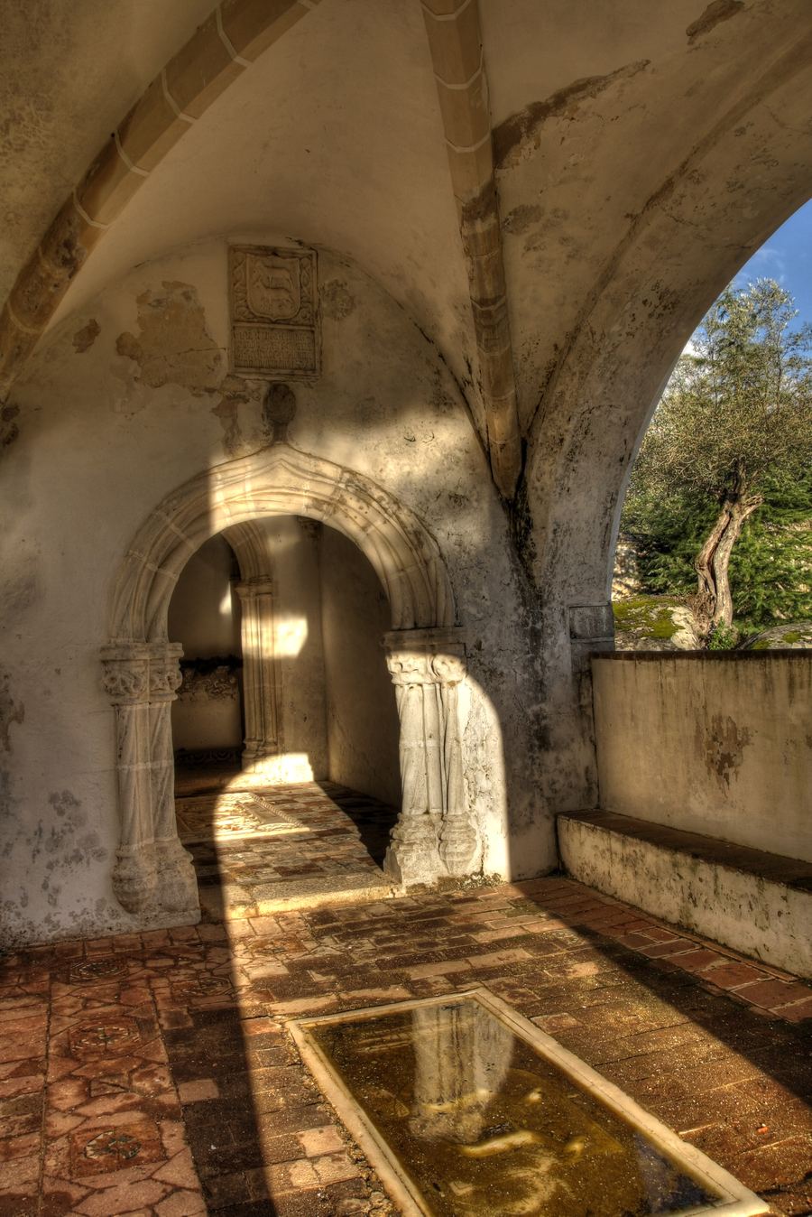 Outer Quinta Belt