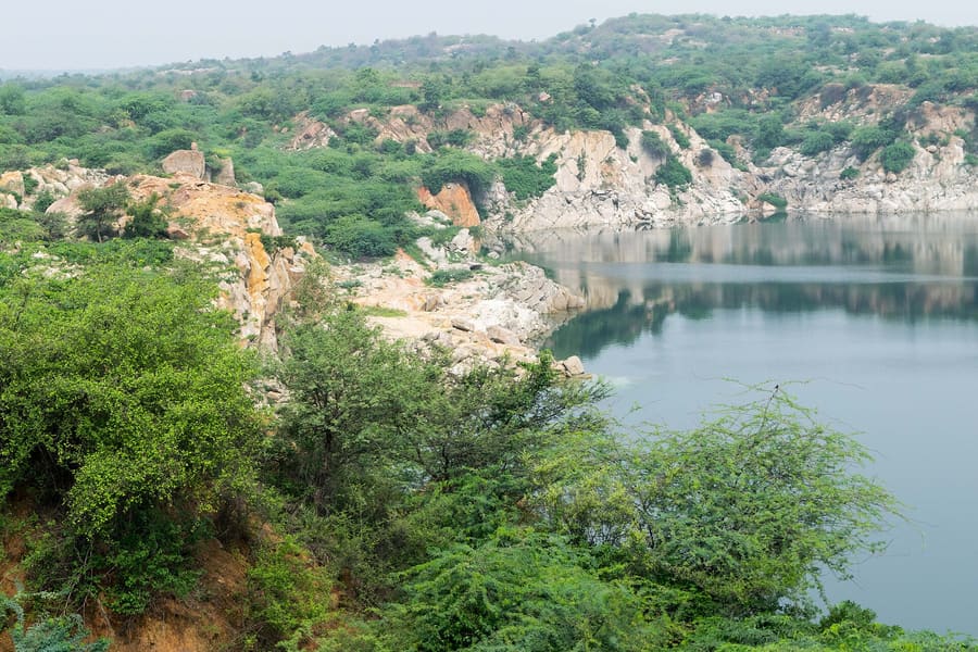 Asola Bhatti Sanctuary