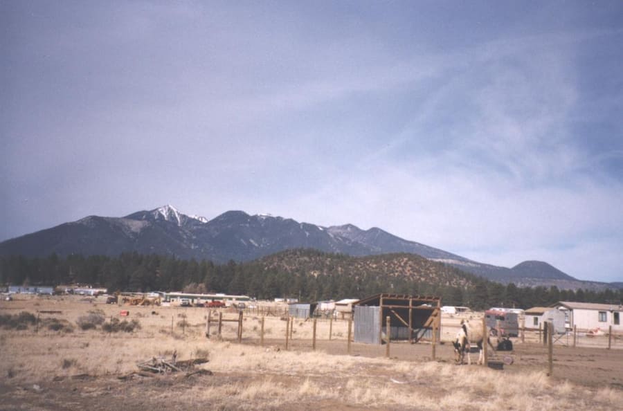 East Flagstaff & Doney Park