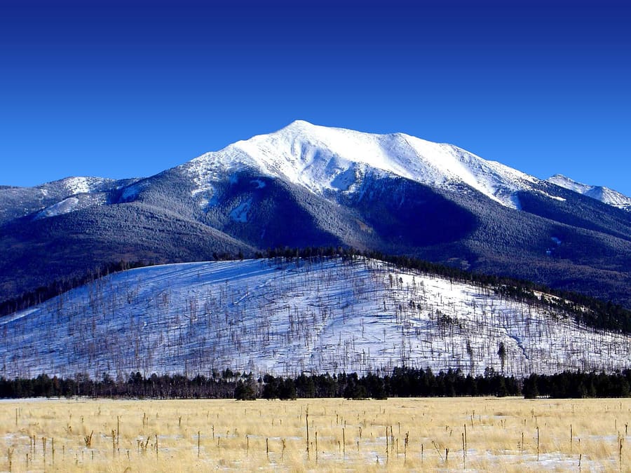 Humphreys Peak Trail