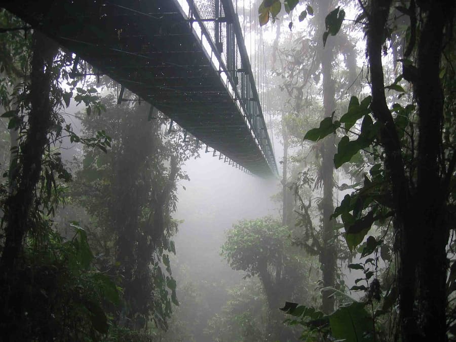 Mistico Hanging Bridges