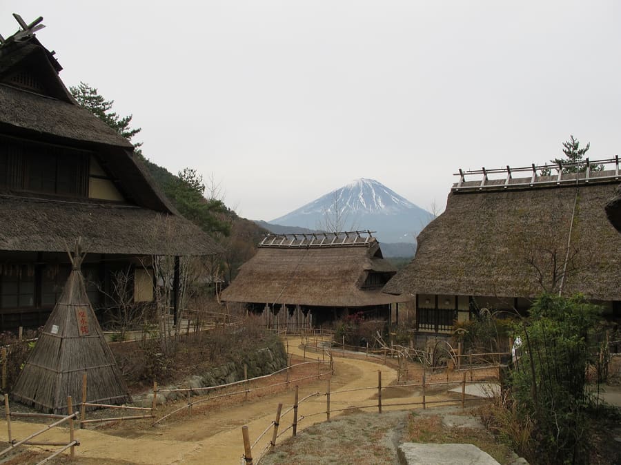 Saiko Iyashi-no-Sato Nenba