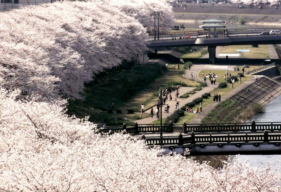 Fukui