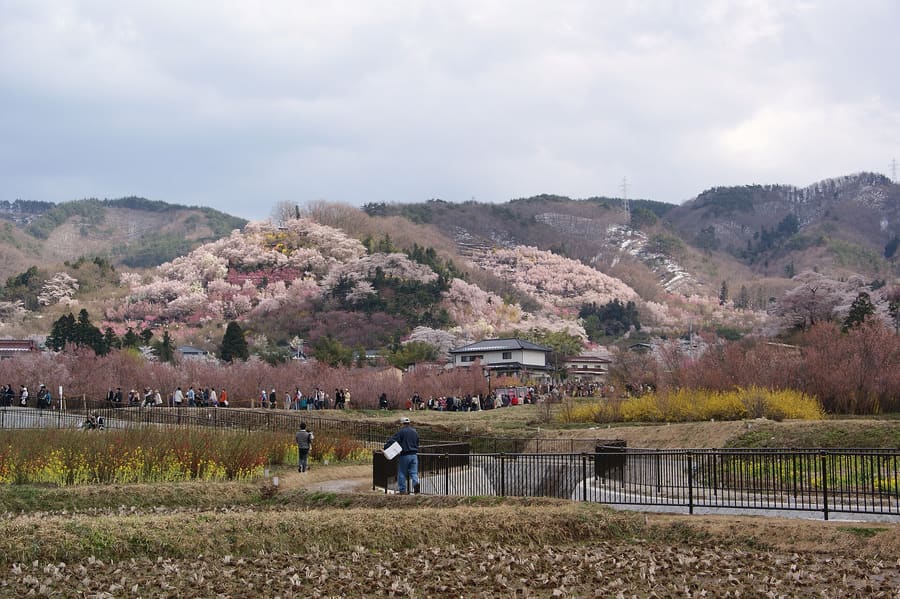 Hanamiyama Park