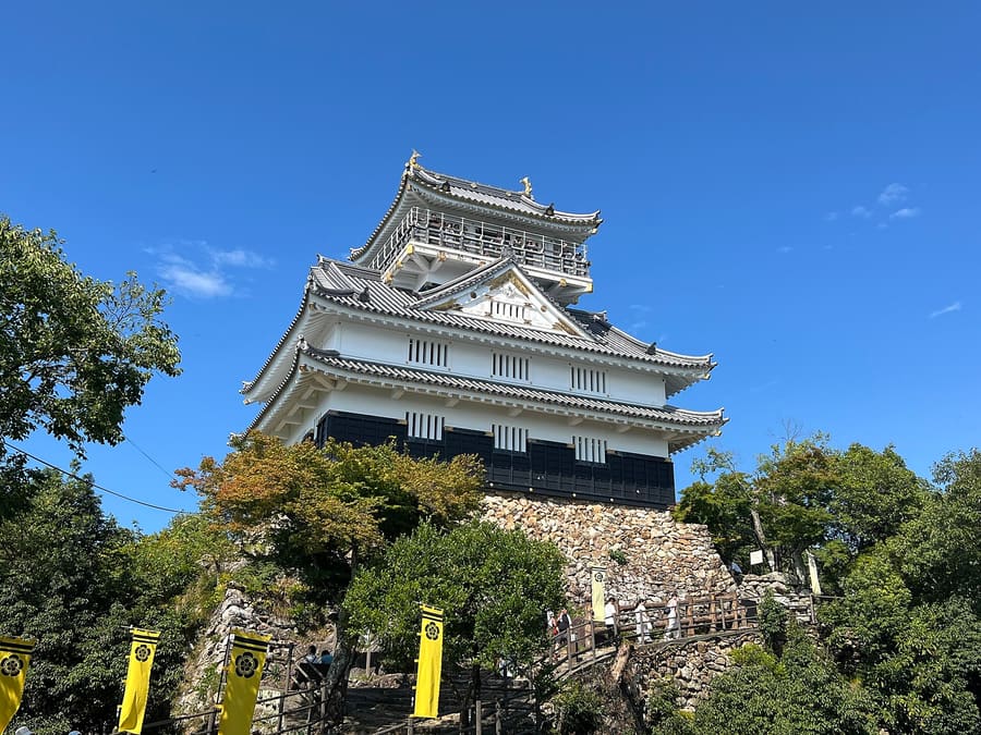 Gifu Castle