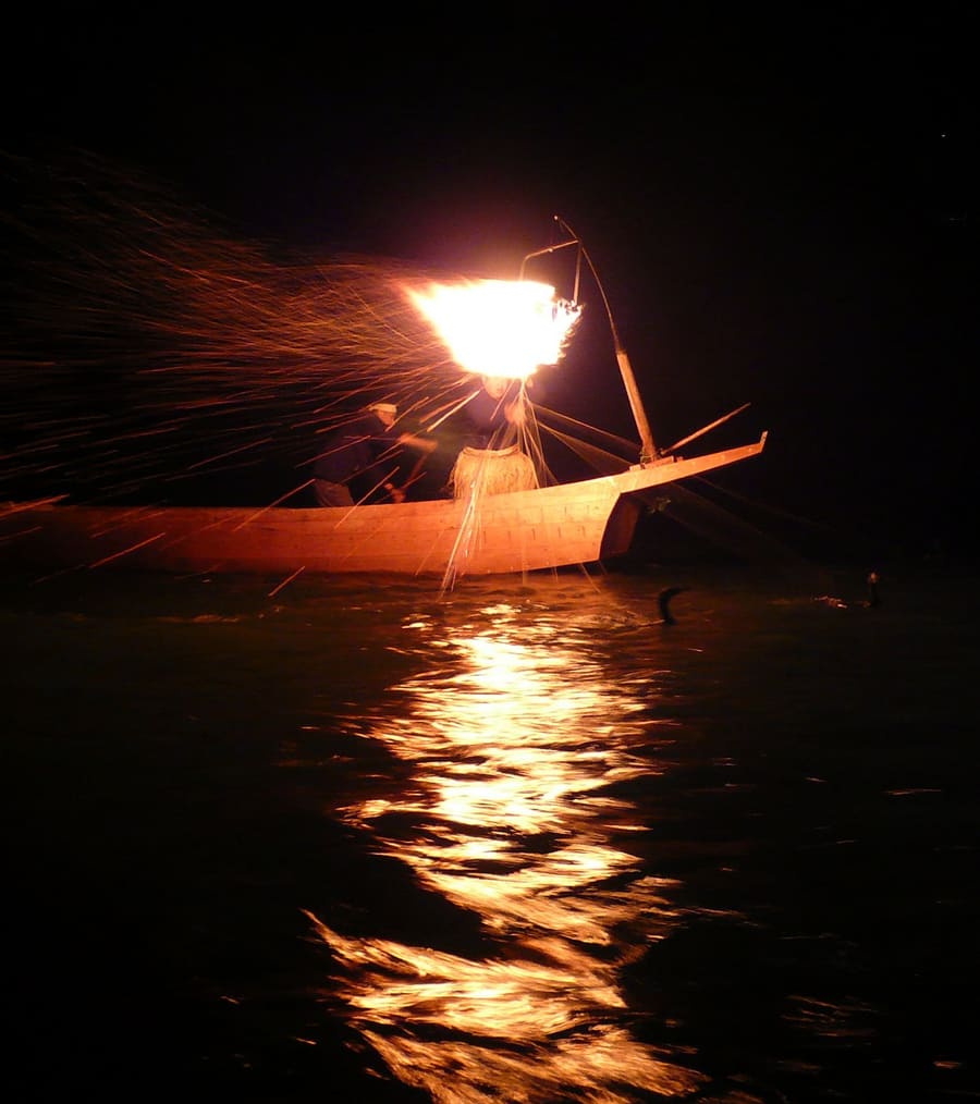 Nagara River Cormorant Fishing