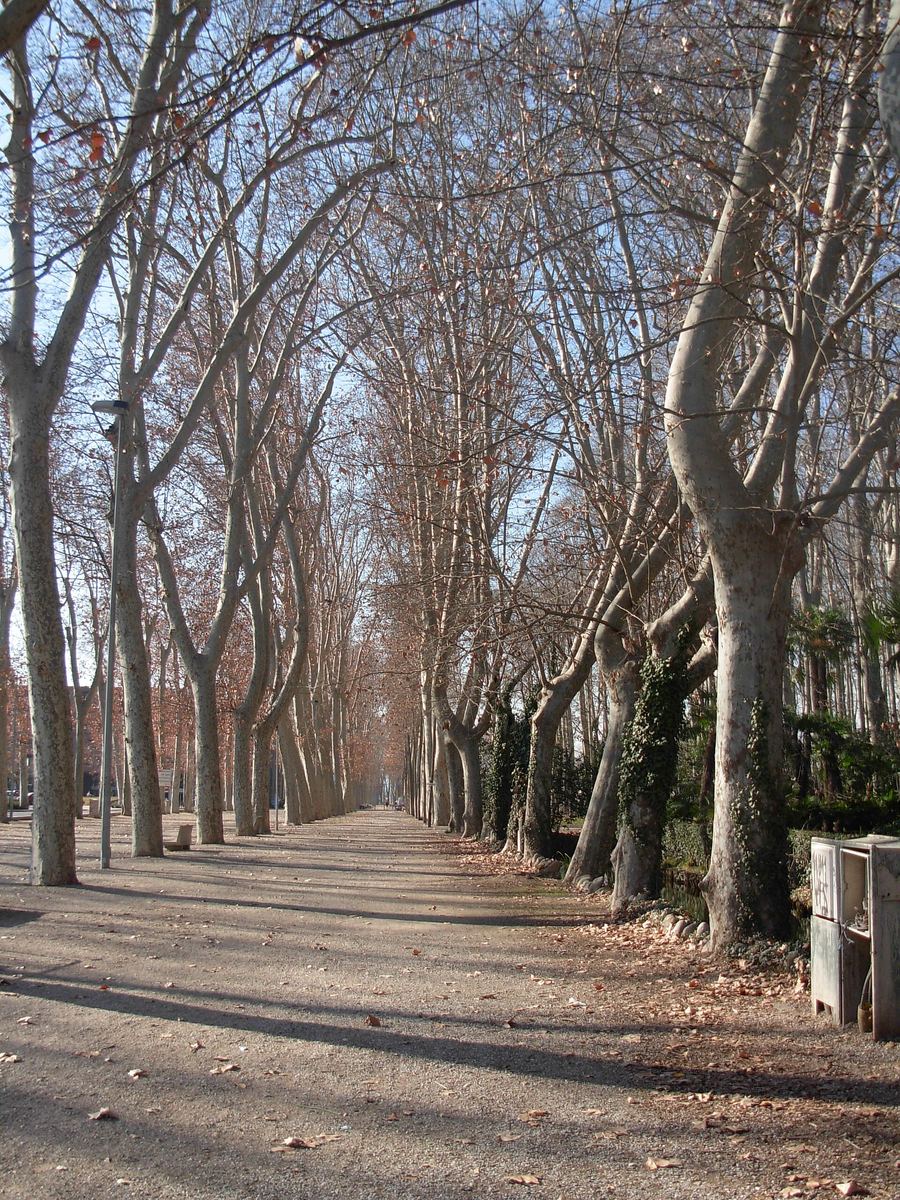 La Devesa