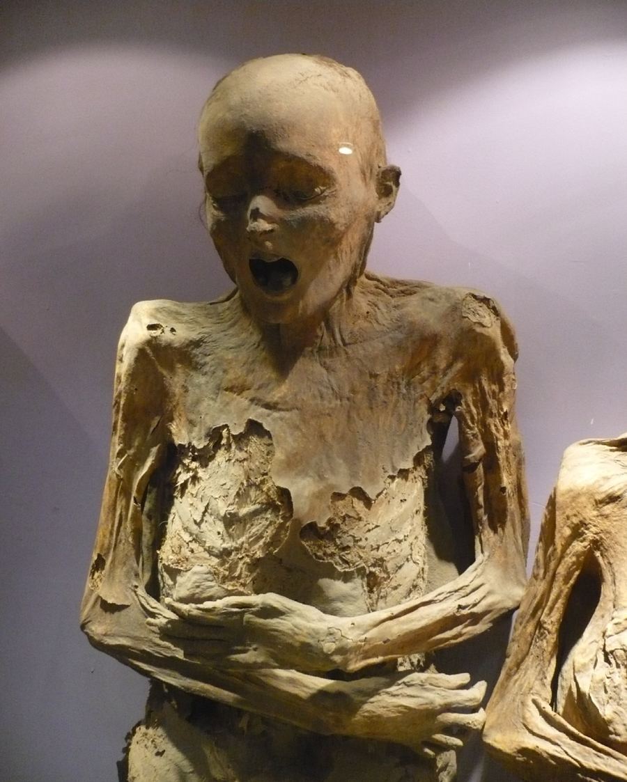 Museo de las Momias
