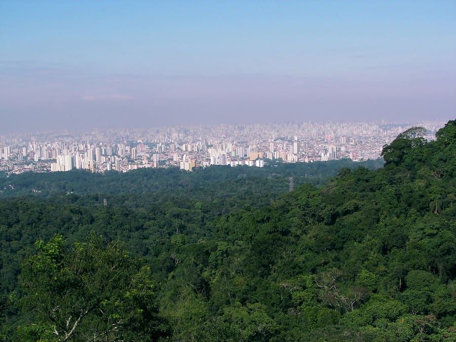 Núcleo Cabuçu