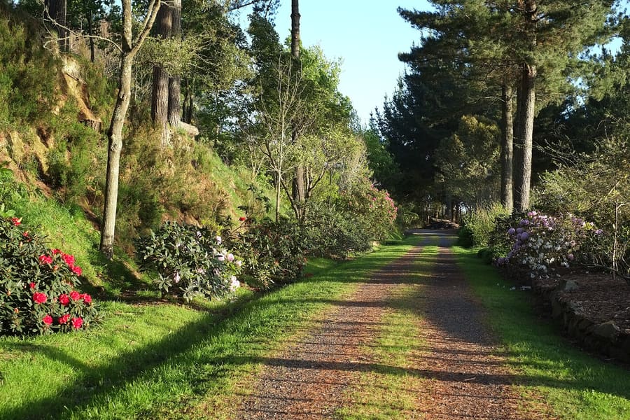 Taitua Arboretum