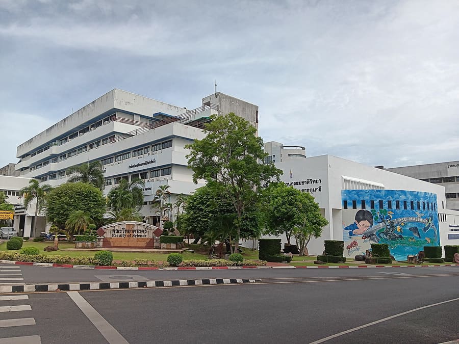 Greenway & University Zone