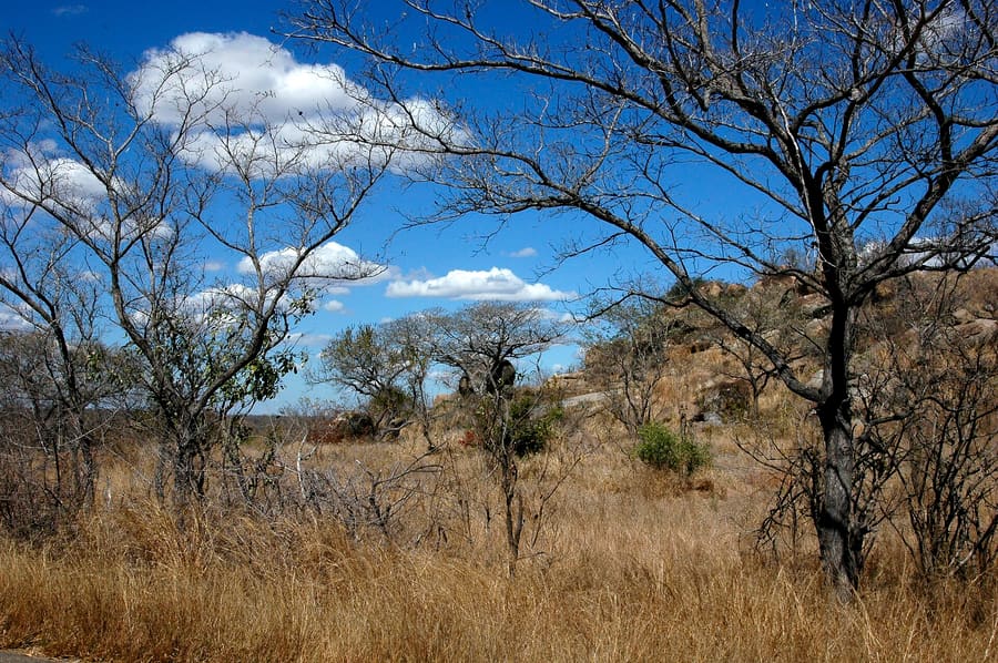 Kruger Gate Corridor