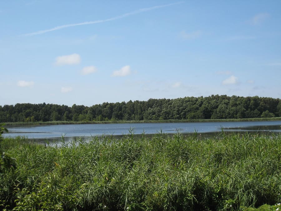 Gothensee Nature Reserve
