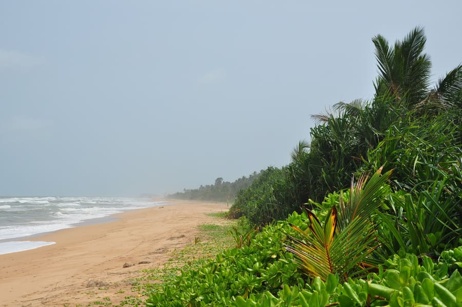 Thiranagama