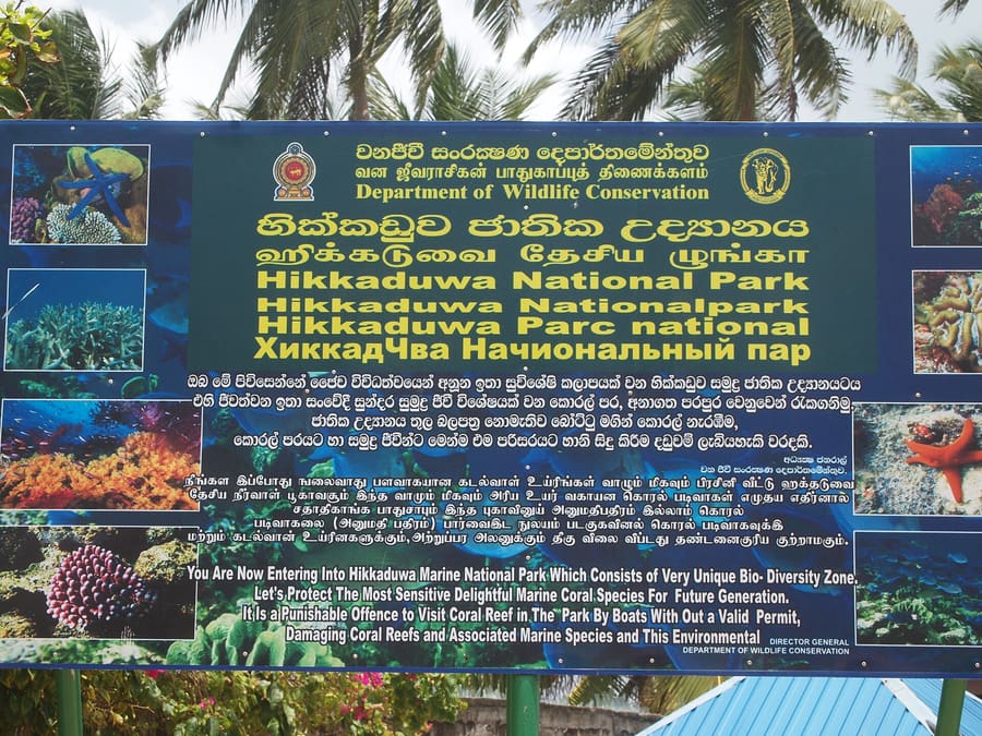 Hikkaduwa Coral Reef