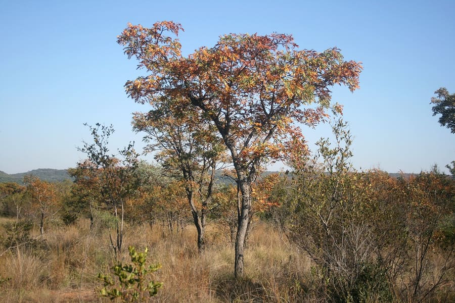 Zandspruit Bush Estate