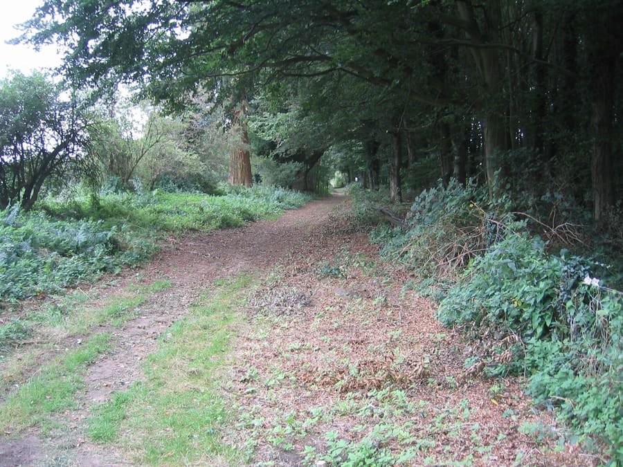 Peddars Way Trailhead