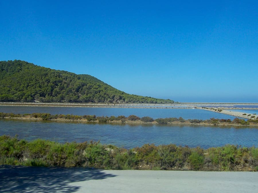 Ses Salines Natural Park