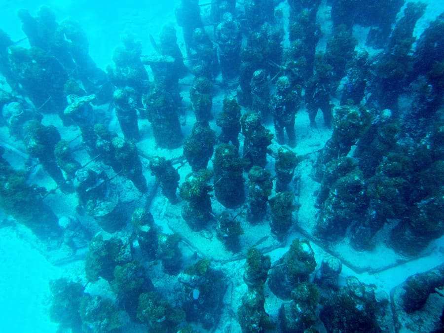 MUSA Underwater Museum