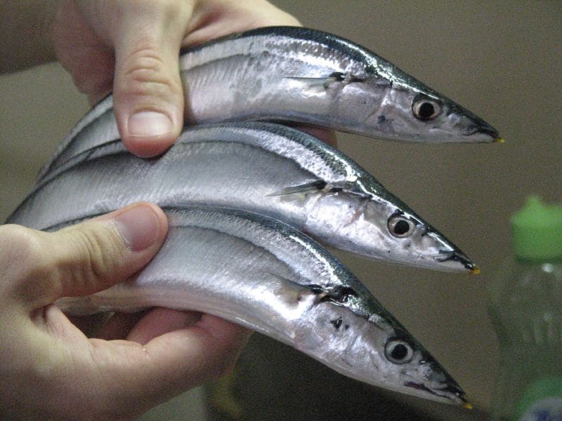 Deep-sea catches define the Joban coastline dining scene.