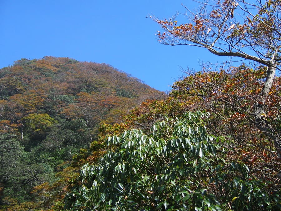 Wufengchi Foothills