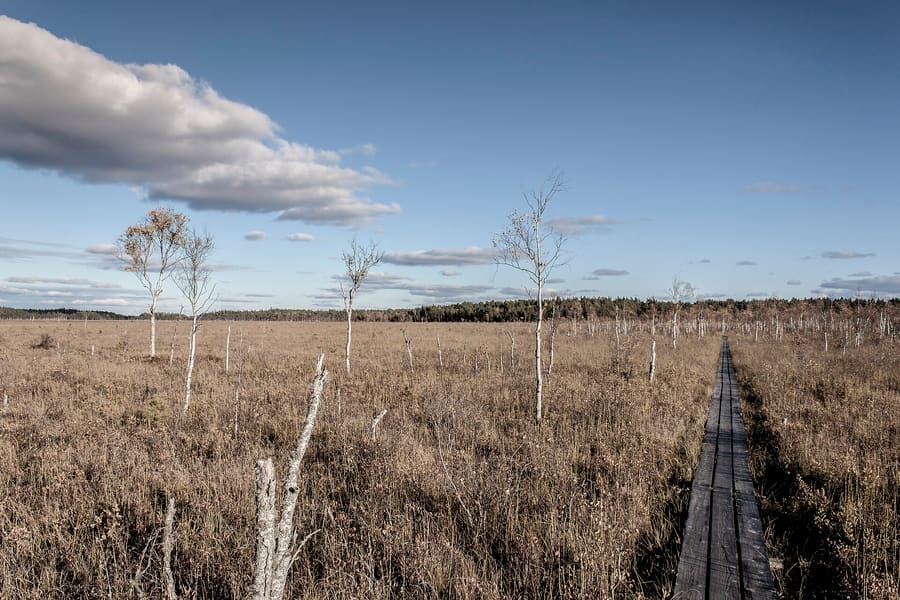 Store Mosse National Park
