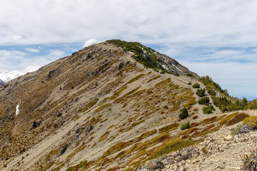 Mount Fyffe Track
