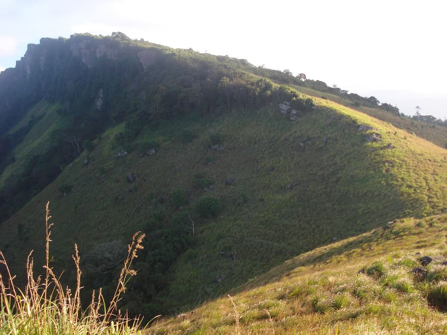 Hantana Hills