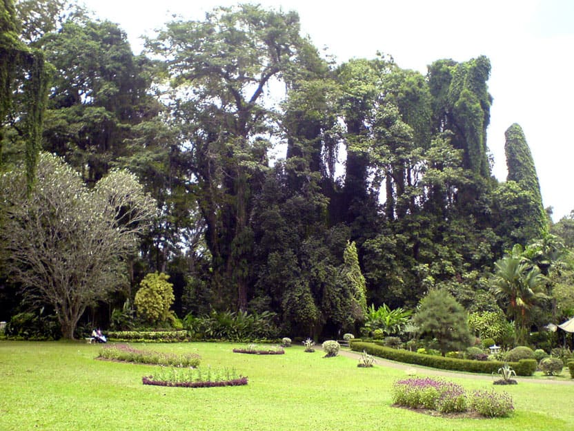 Kandy