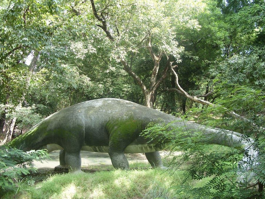 Allen Forest Zoo