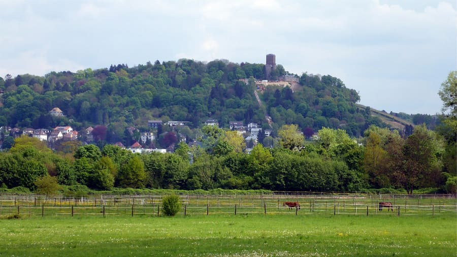 Turmberg
