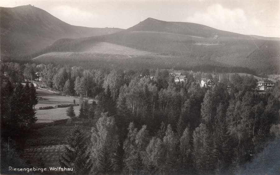 Wilcza Poręba