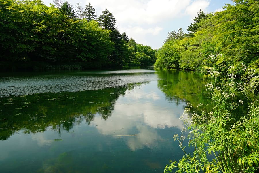 Kumoba Pond