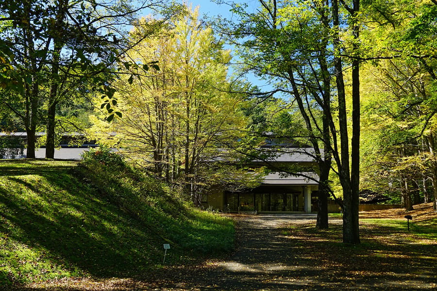 Sezon Museum of Modern Art