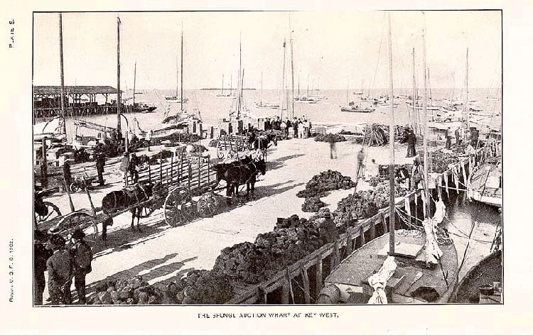 Historic Seaport