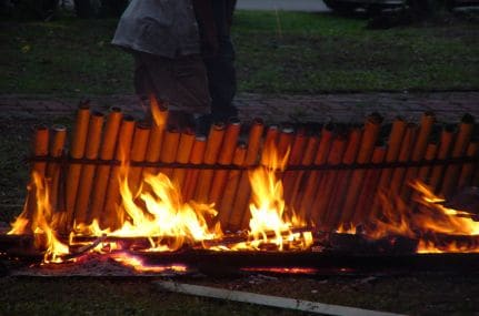 Fresh ingredients cooked inside green bamboo sections over hot coals.
