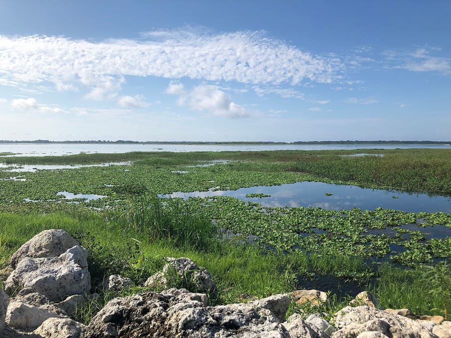 Lake Tohopekaliga