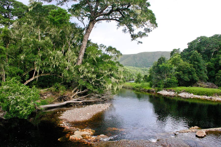 Jubilee Creek