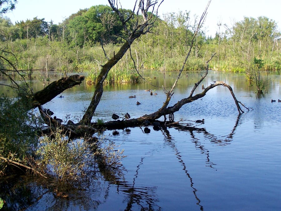 Ekopark Wschodni