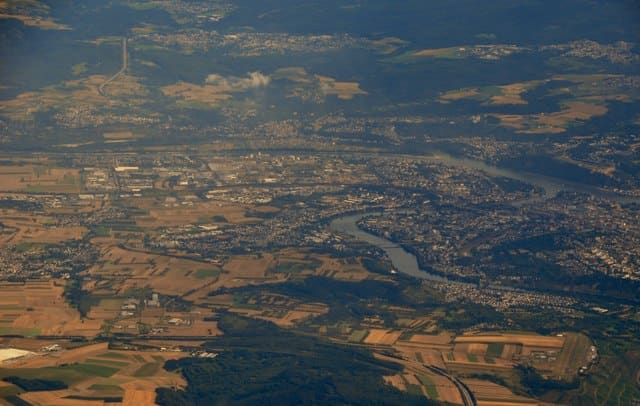 Moselweis