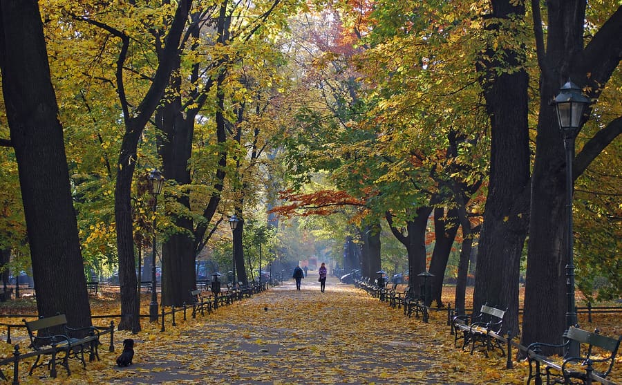 Kraków