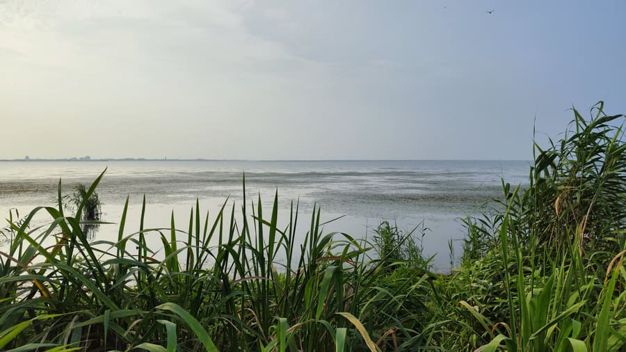 Yangcheng Lake Bacheng Area