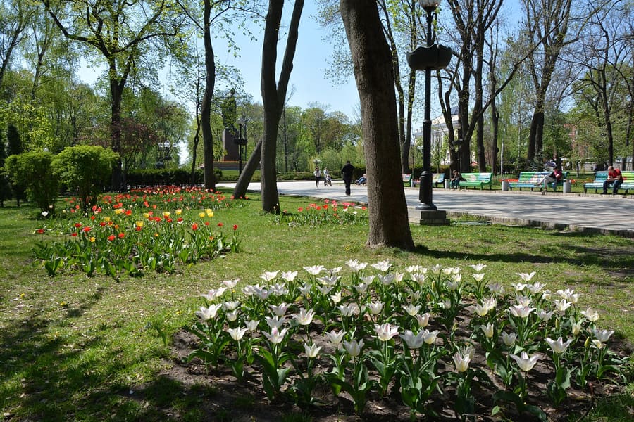 Shevchenkivskyi