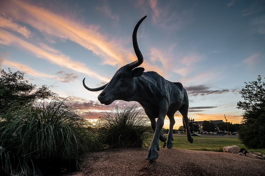 National Ranching Heritage Center