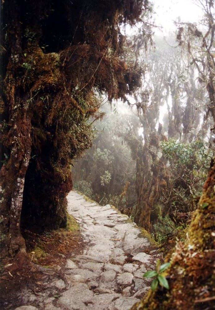 Inca Trail Approach
