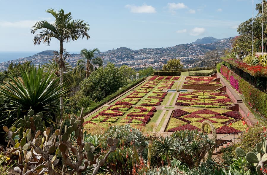 Jardim Botânico da Madeira