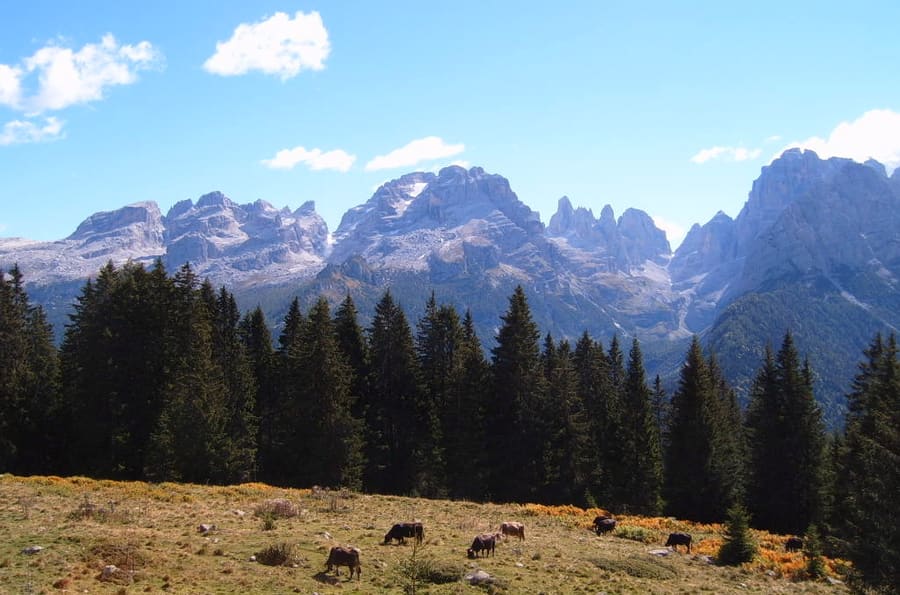 Madonna di Campiglio
