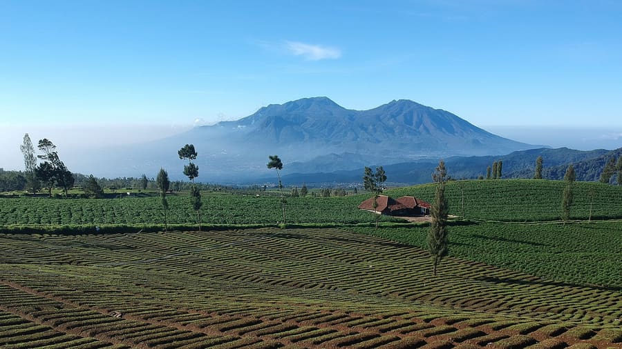 Malang